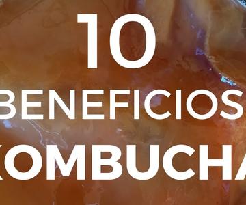 BENEFICIOS de la KOMBUCHA y SCOBY / FERMENTADOS