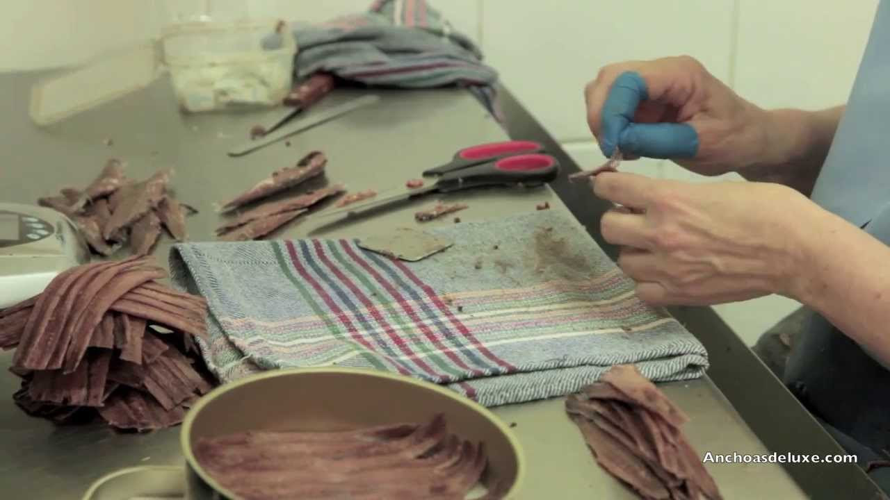 Anchoas de Santoña, como se hacen. Conservas Catalina- Anchoasdeluxe