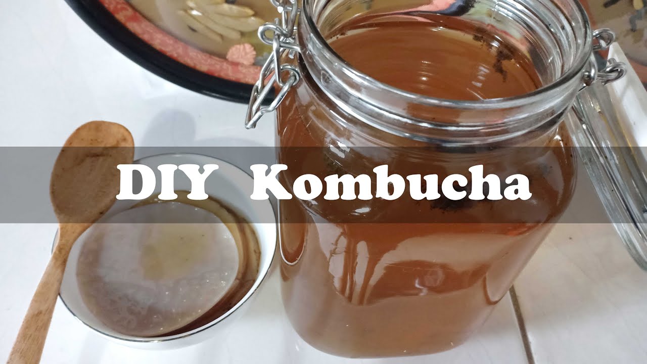 Kombucha DIY- Cómo hacer té de kombucha fermentado
