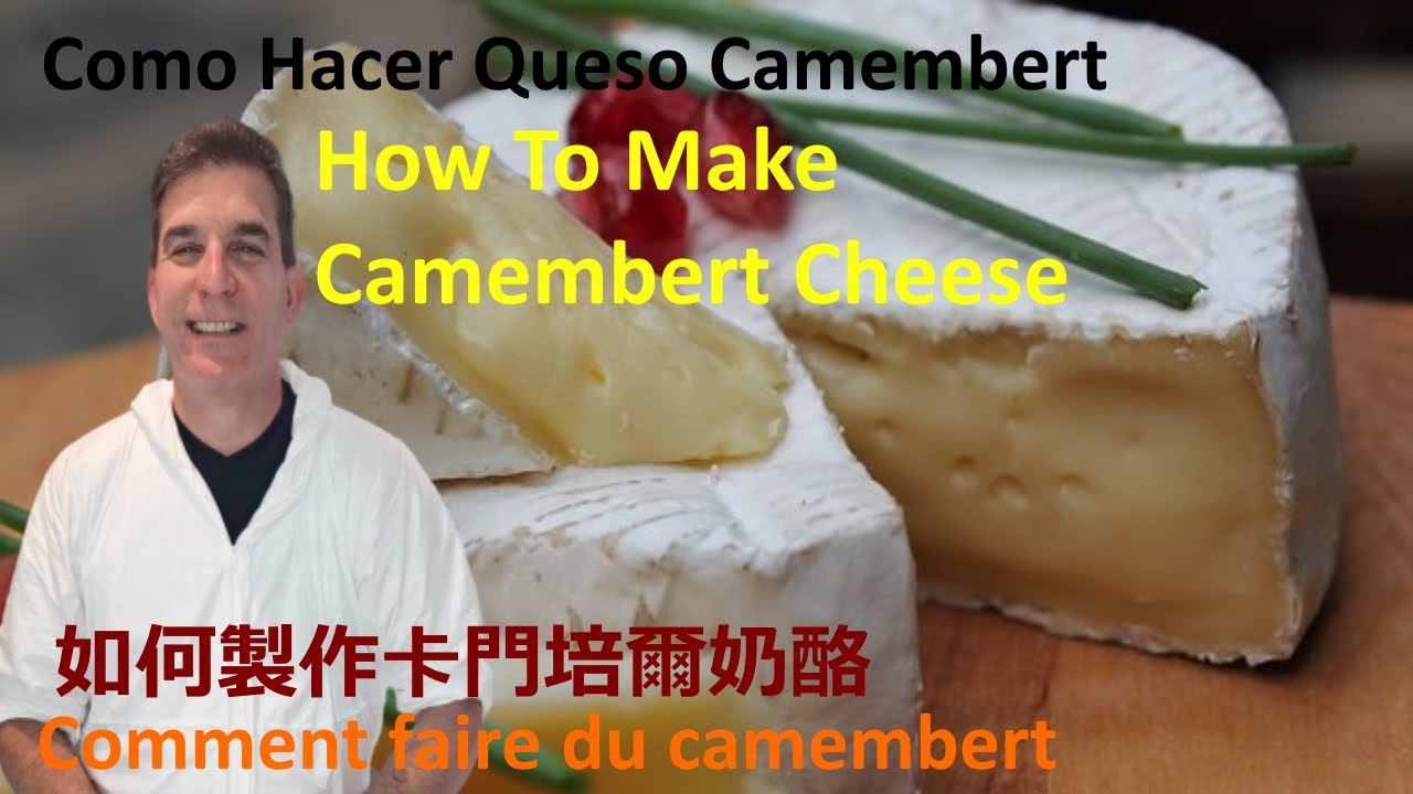 Queso Camembert cómo se hace-Recetas de Cocina del Doctor Quesero - How to make Camembert Cheese