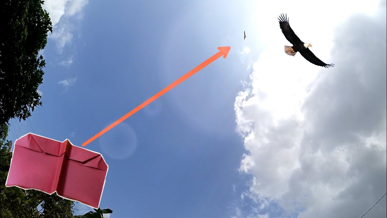 cómo hacer que un avión de papel vuele como un pájaro - ¡¡¡genial !!!