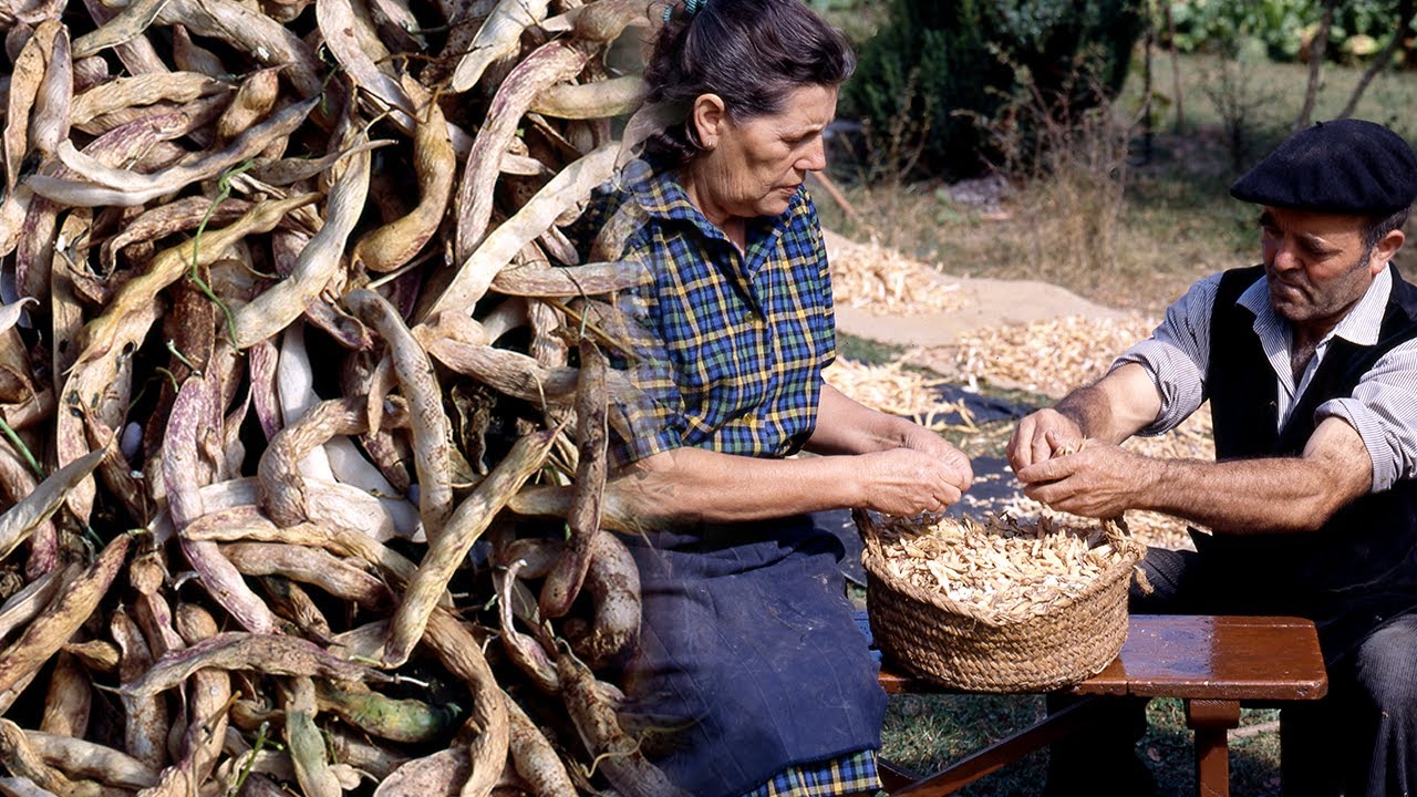 Cultivo y siembra tradicional de legumbres: los boliches | Oficios Perdidos | Documental