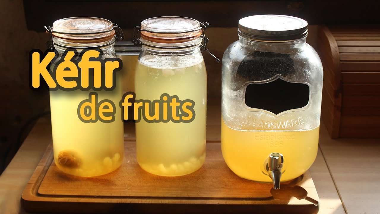 Kéfir o tibicos, una limonada casera sana y fácil de hacer