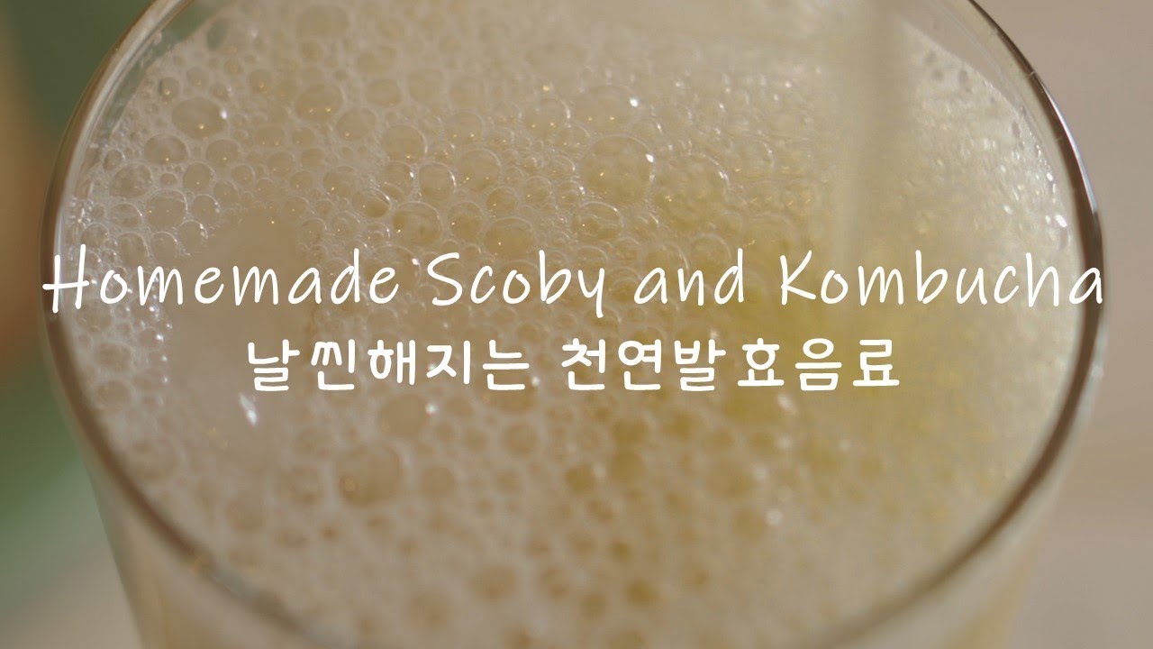 Kombucha y Scoby hechos en casa desde cero - Registro de cocina cinematográfico - Fácil fermentación
