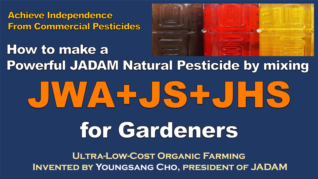 How to Make a Powerful JADAM Natural Pesticide by mixing JWA+JS+JHS for Gardeners. Homemade