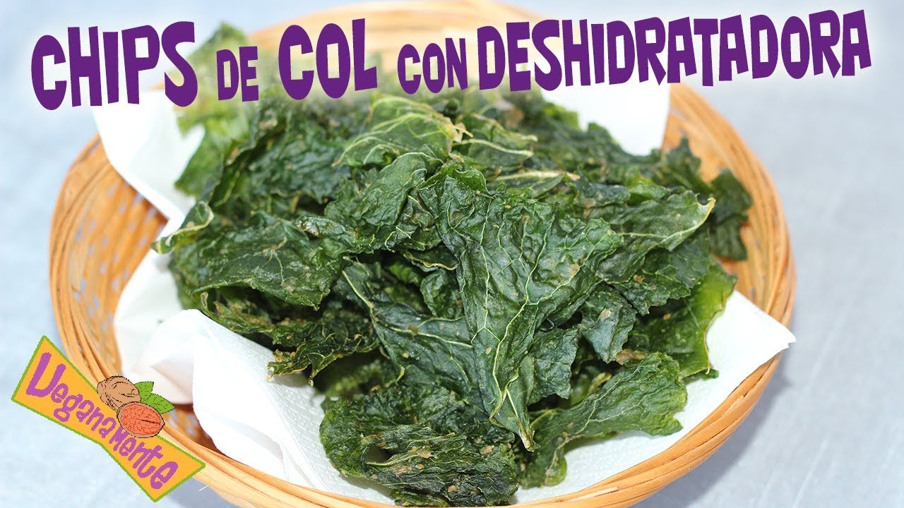 CHIPS DE COL, 1ª Receta con DESHIDRATADOR | Recetas Veganas | Veganamente
