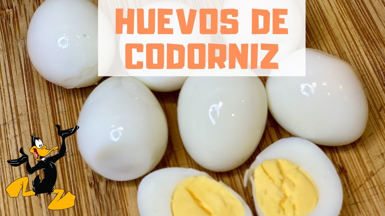 Cómo Cocer Huevos de Codorniz y Tiempo de Cocción ¡RECETA CON HUEVO!