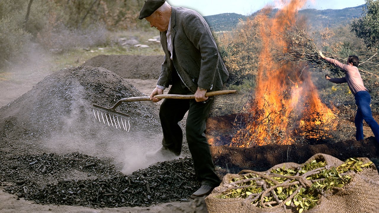 El CARBÓN VEGETAL o picón. Transformación tradicional de madera en carbón en 1991 | Documental