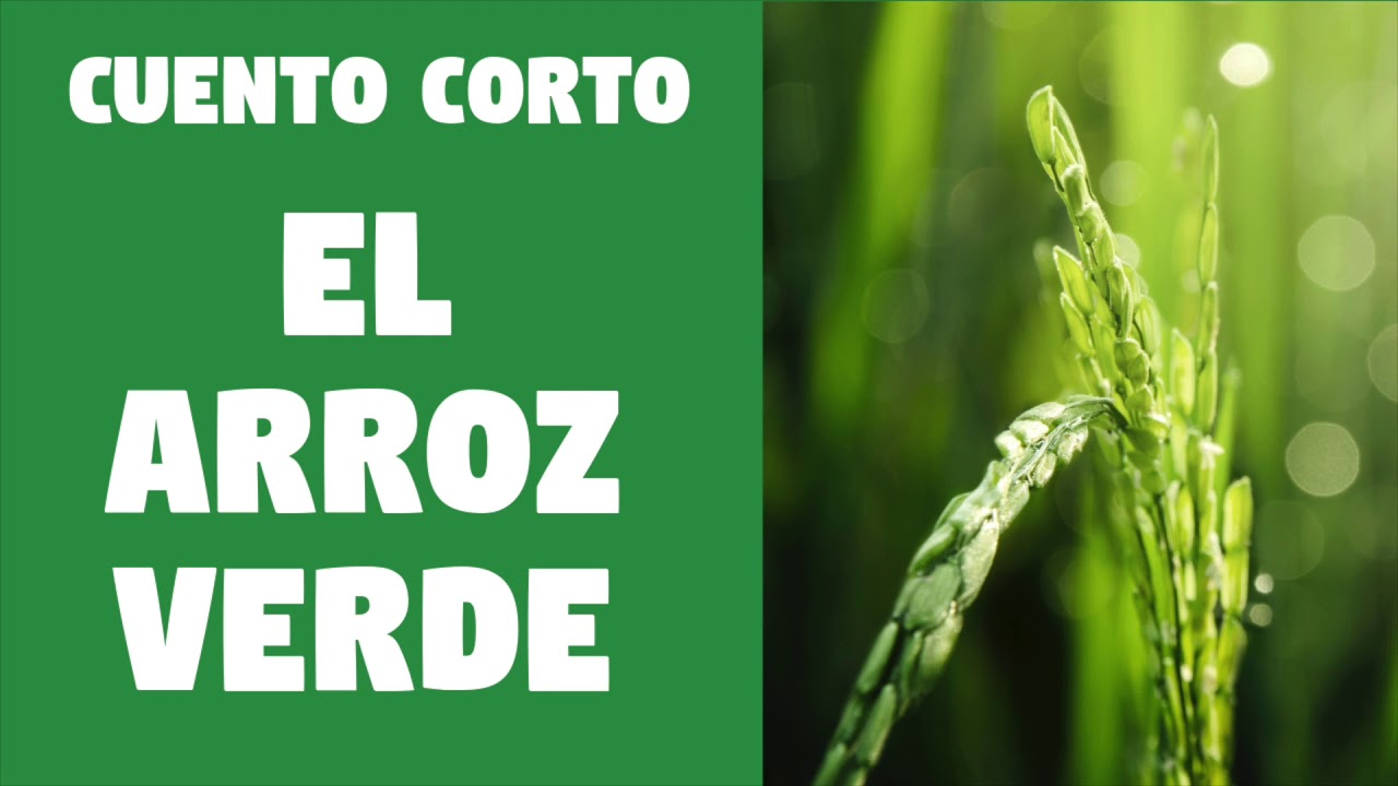 Entrena tu oído en español: El arroz verde - Cuento corto, español fácil #learnspanish #spanishinput