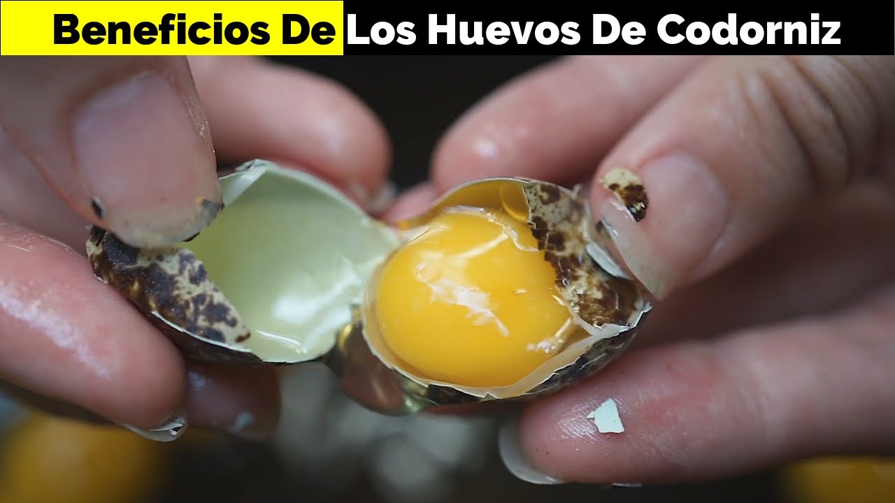 Los 9 Sorprendentes beneficios de los huevos de codorniz 👉 Lo que debes saber