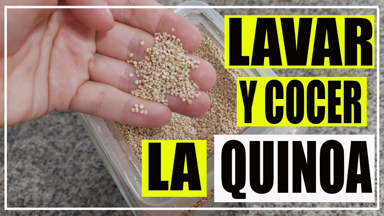 🌱 PASO A PASO Como lavar y cocer la QUINOA 🌱 Como se cocina la Quinoa 🌱 Quinua como cocinarla