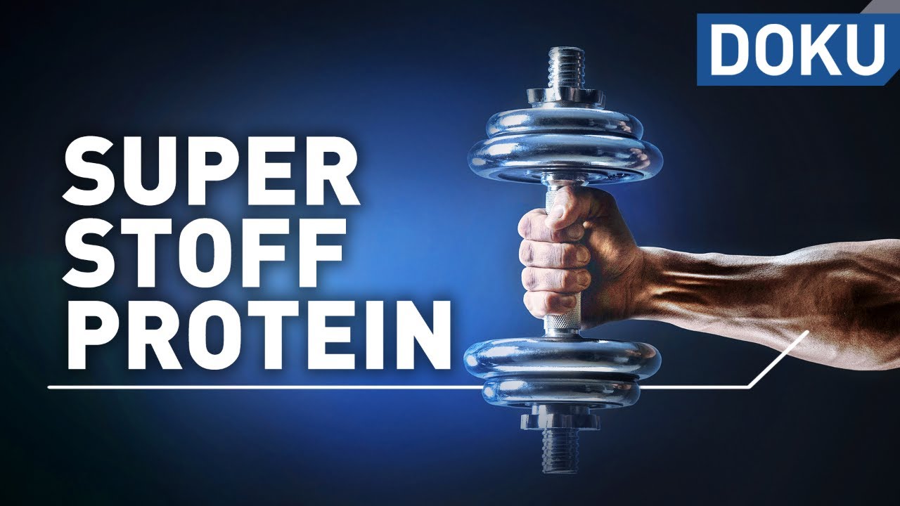 Superstoff Protein – macht Eiweiß schlank und fit? | alles wissen | doku