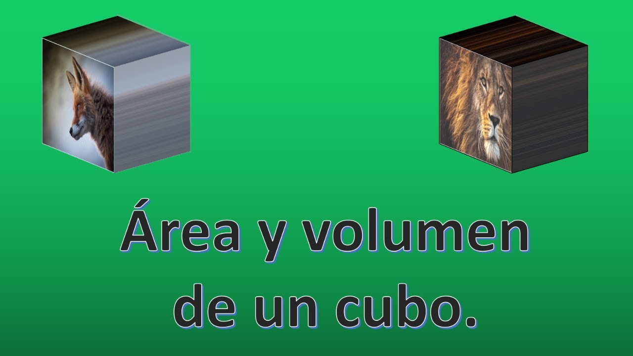 Área y volumen de un cubo.