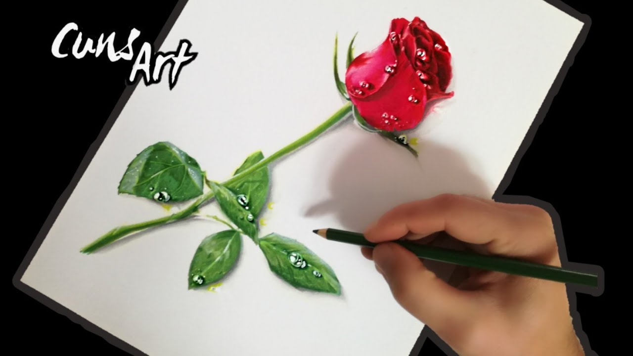 COMO DIBUJAR UNA ROSA REALISTA / how to draw a realistic rose