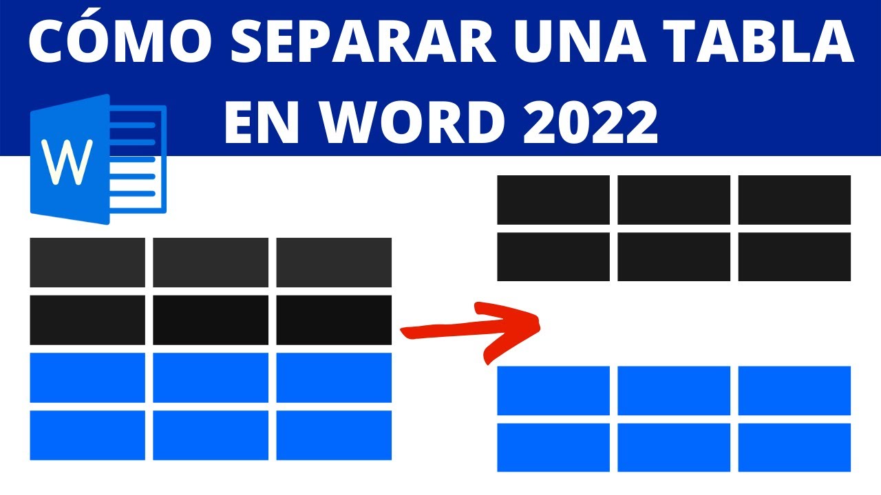 CÓMO DIVIDIR UNA TABLA EN WORD 2022