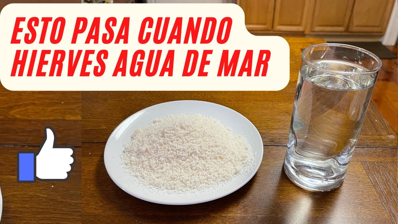 Cómo Hacer Sal Marina con Agua de Mar, how to make homemade salt