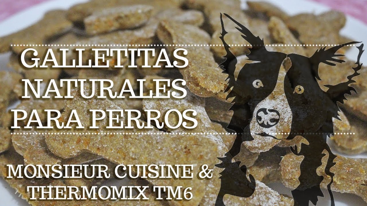GALLETITAS NATURALES PARA PERROS en Monsieur Cuisine y TM6