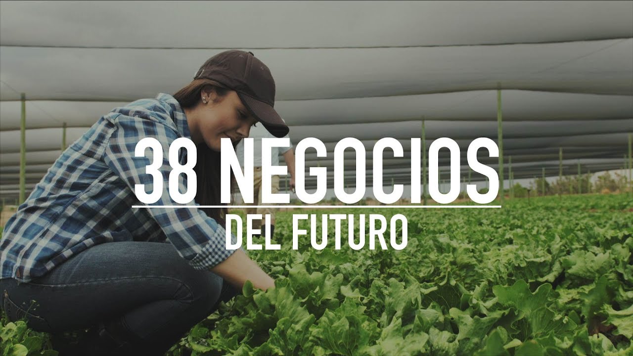 LOS 38 NEGOCIOS MÁS RENTABLES DEL FUTURO