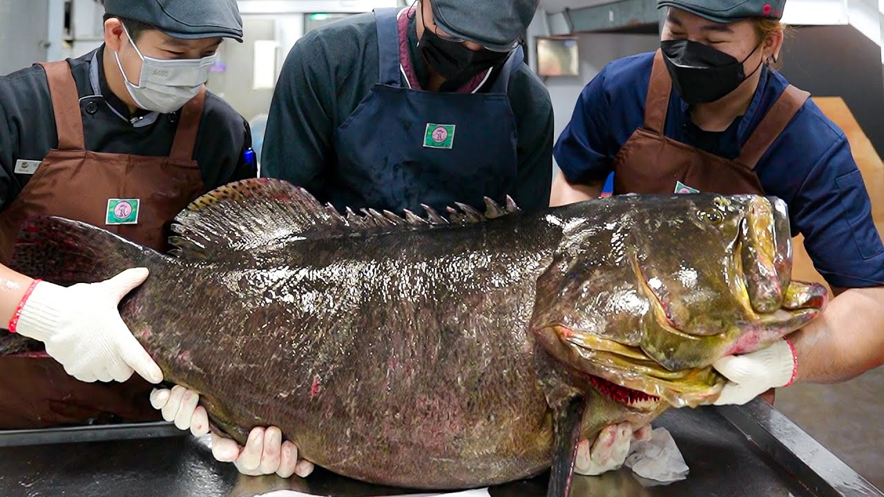 Luxurious Seafood Hot Pot! Giant Goliath Grouper Cutting Skills / 龍膽石斑魚海鮮麻辣火鍋