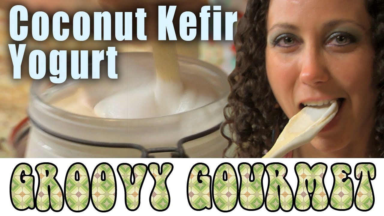 Vegan Raw Dairy-free Coconut Kefir Yogurt - Groovy Gourmet 1.2
