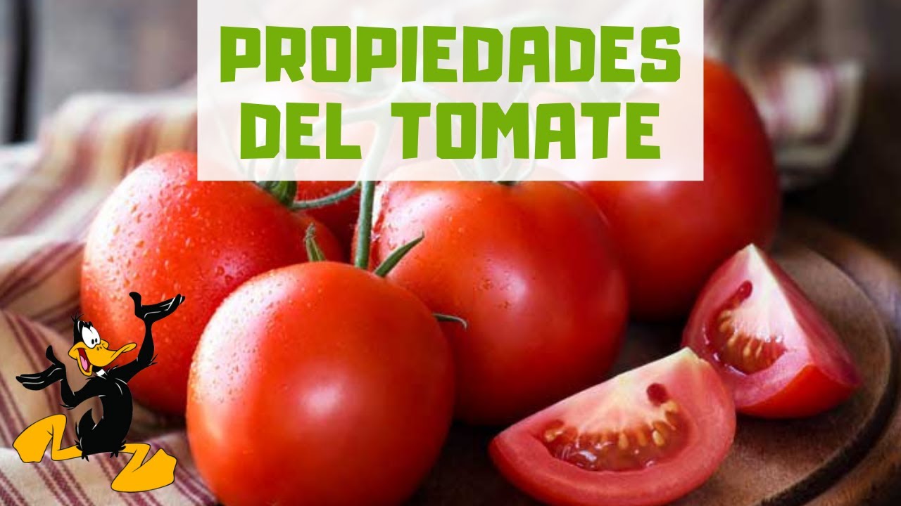 10 Propiedades del Tomate 🍅 ¡BENEFICIOS!