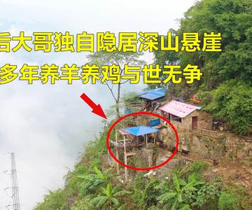 探访贵州一80后大哥，独自隐居在深山悬崖上十多年，养羊养鸡与世隔绝【青云迹】