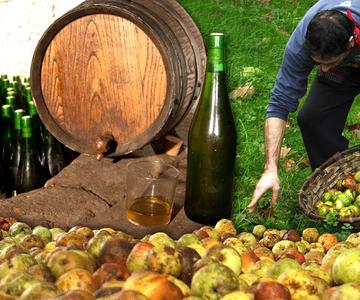 Apfelwein herstellen. Traditionelle Herstellung dieses Getränks aus Äpfeln | Dokumentation