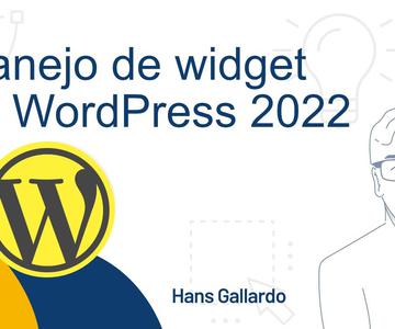 Manejo de Widget en Wordpress 2022