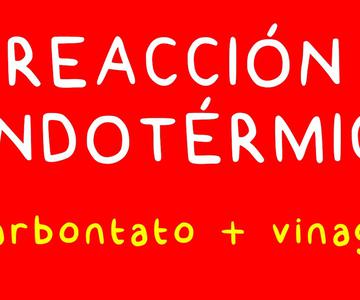Reaccion Endotérmica con Bicarbonato y Vinagre.