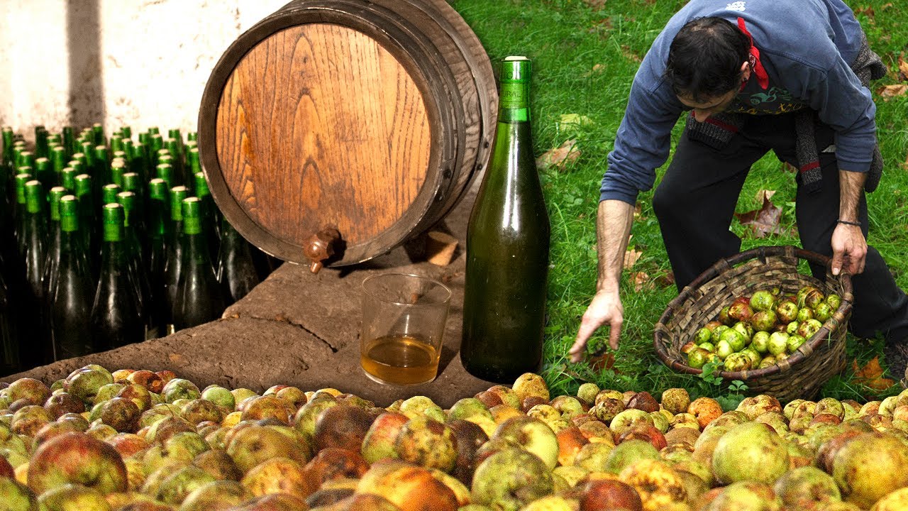Apfelwein herstellen. Traditionelle Herstellung dieses Getränks aus Äpfeln | Dokumentation