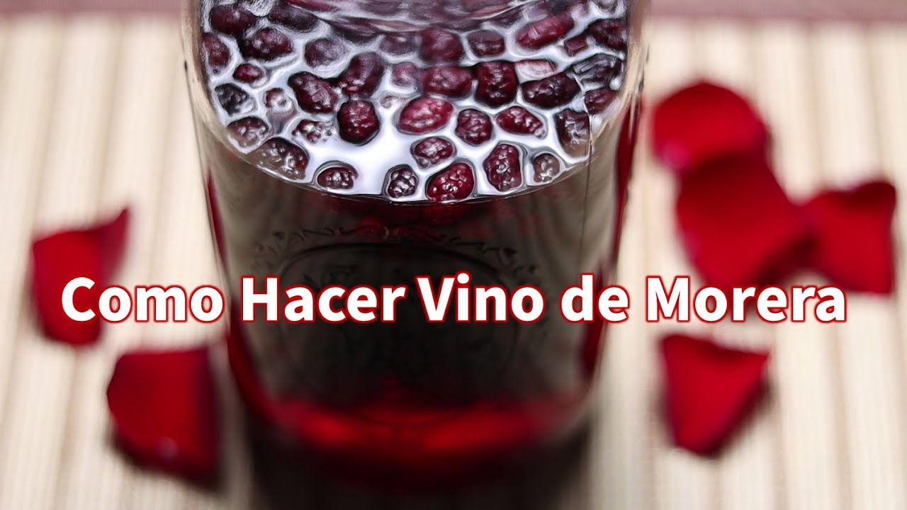 Como Hacer Vino de Morera / Mora/Homemade Mulberry Wine / 桑葚酒