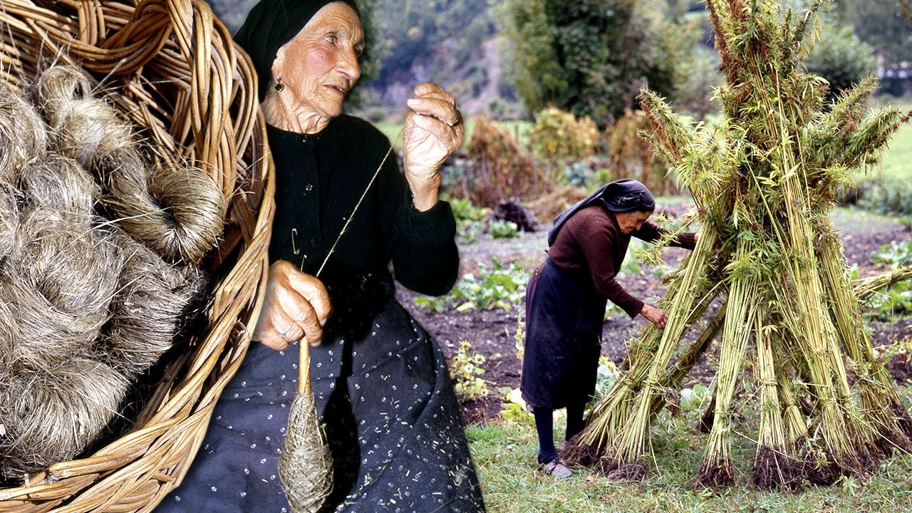 El CÁÑAMO en el Pirineo. Cultivo y elaboración tradicional de tejidos y fibras en 1996 | Documental
