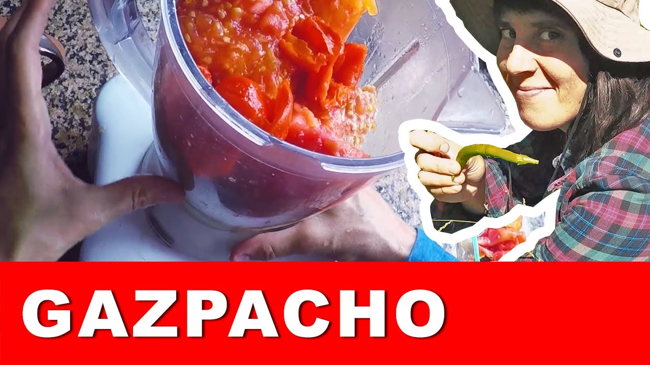 Gazpacho como lo hacia mi abuelo (sopa fria española)