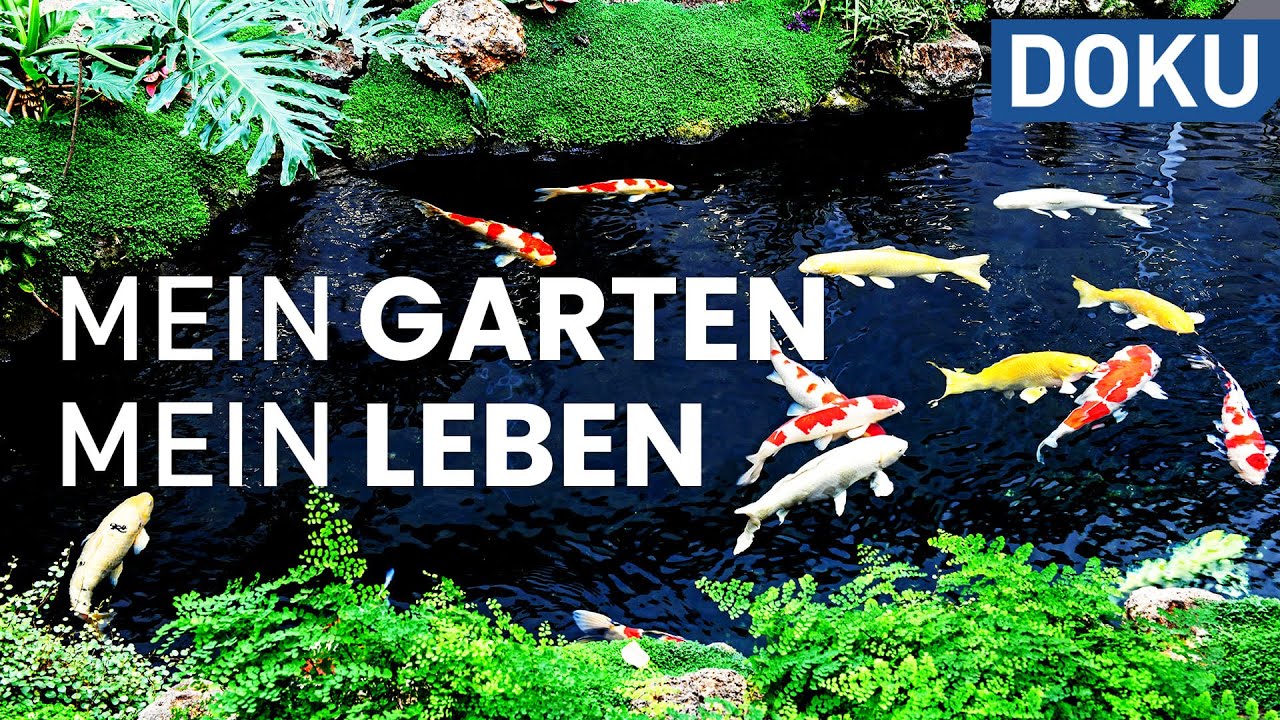 Mein Garten - Mein Leben - Gartenparadiese, Teichgarten und Pflanzenpracht | doku