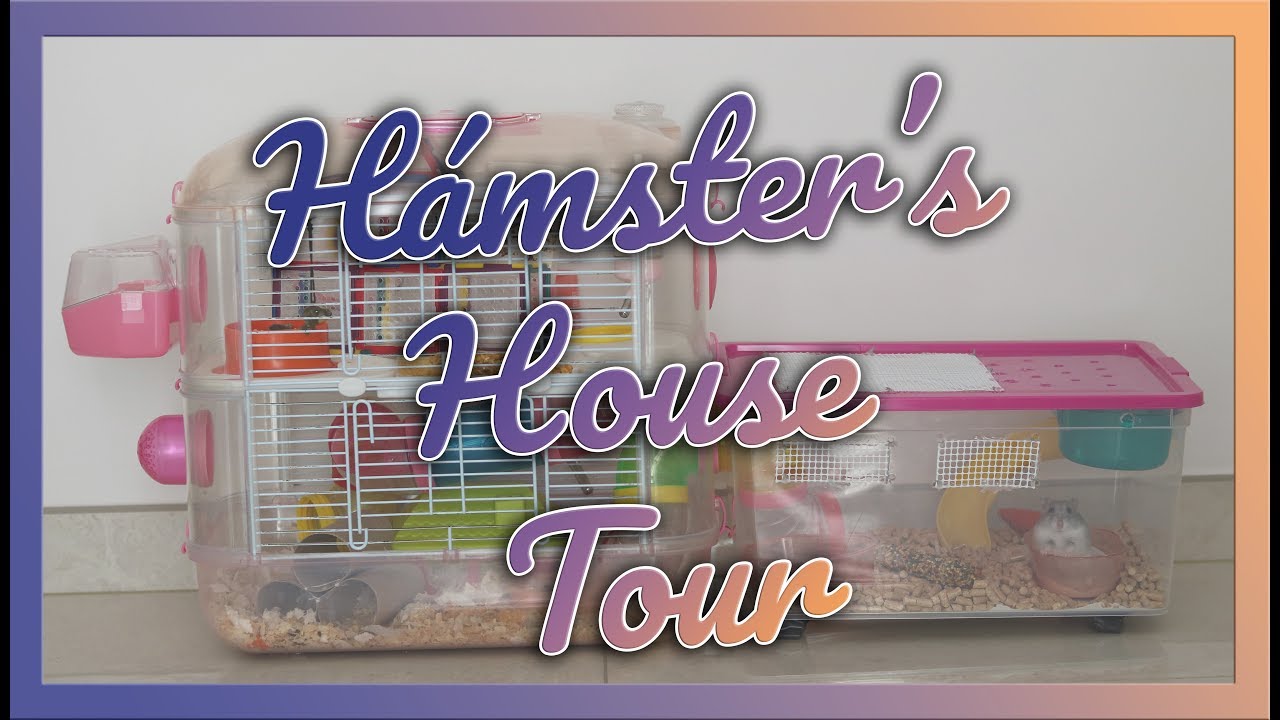 DESACTUALIZADO: HAMSTER'S HOUSE TOUR | Nueva Tupper Jaula | ¿Lecho vegetal o serrín?