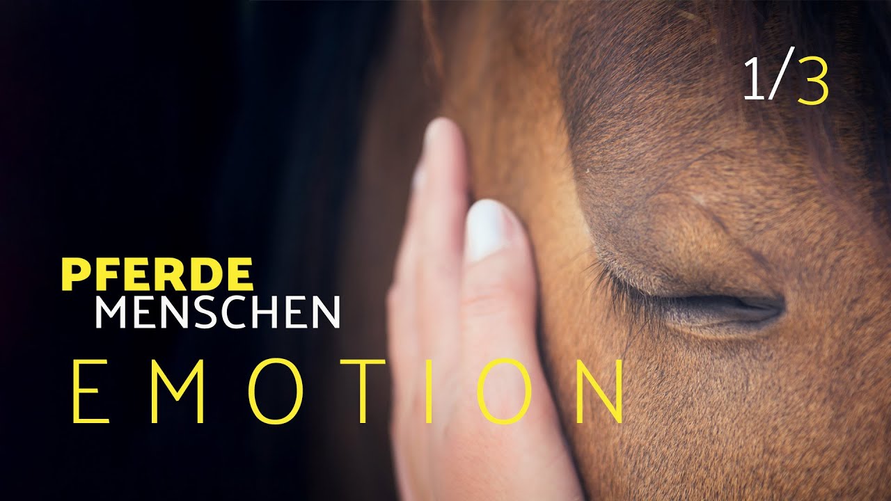 Emotion | PferdeMenschen | Doku | (S01E01)
