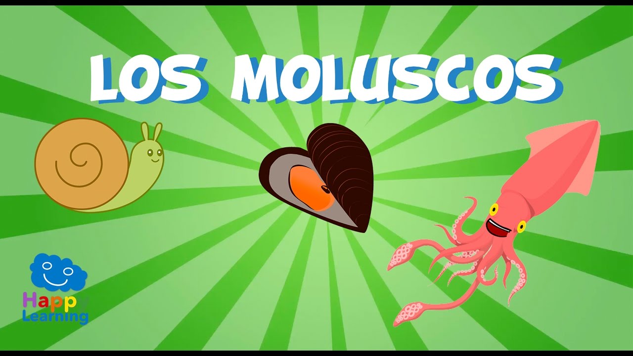 Los Moluscos | Videos Educativos para Niños