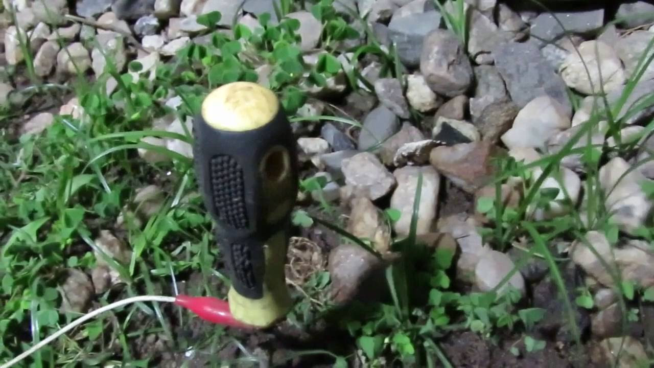 Como Sacar lombrices Sin Excavar el Terreno // How to get Earthworms With Electricity