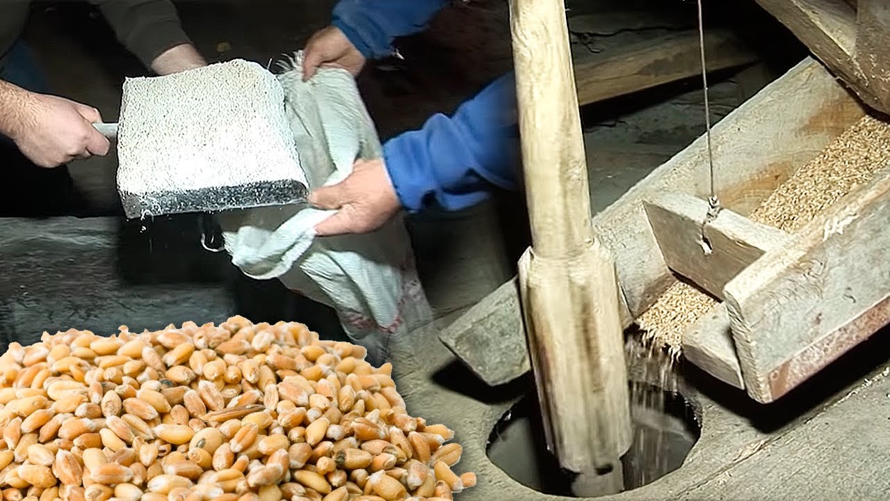MOLIENDA TRADICIONAL del grano en un molino harinero de piedra | Oficios Perdidos | Documental