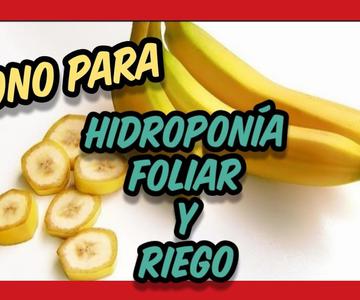 👉👉👉 Heimdünger für das HYDROPONISCHE SYSTEM 🌱 Bewässerung und Blatt von Bananenschalen MORENO-Zucker