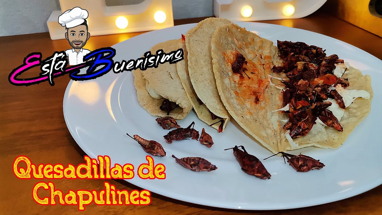 🦗 A COMER INSECTOS - Quesadillas de Chapulines - Cómo hacer quesadillas