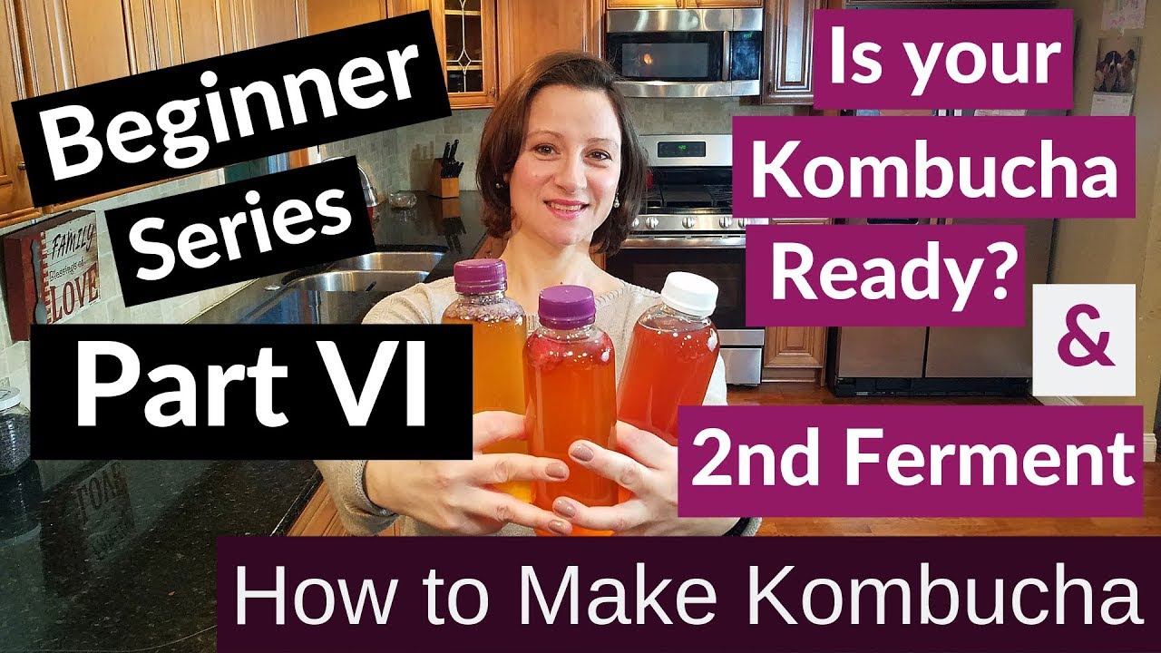 Cómo hacer Kombucha | Serie de principiantes | Es mi Kombucha Ready \u0026 Second Ferment
