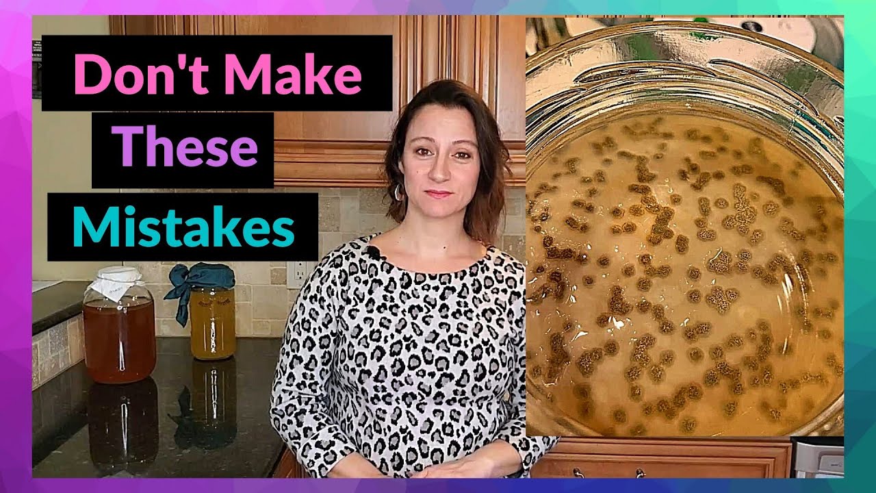 Moldy Kombucha. How to identify it, resolve it and prevent it. 【 2024