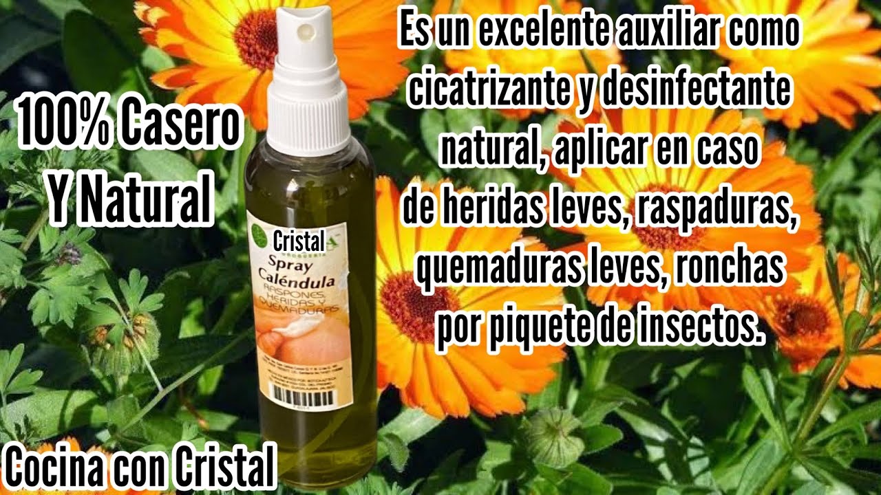 Receta Spray de Caléndula casero y natural (remedios casero)