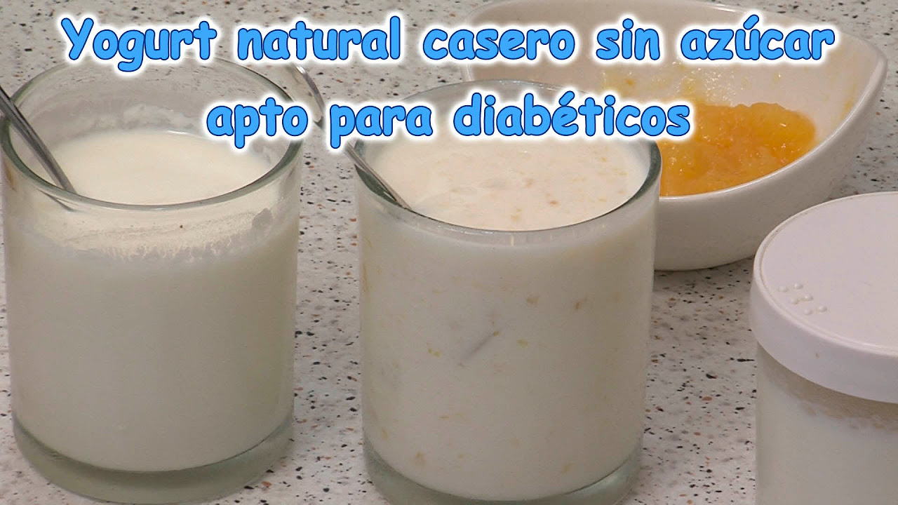 Yogurt natural casero sin azucar, apto para diabéticos - Vida Natural y Belleza