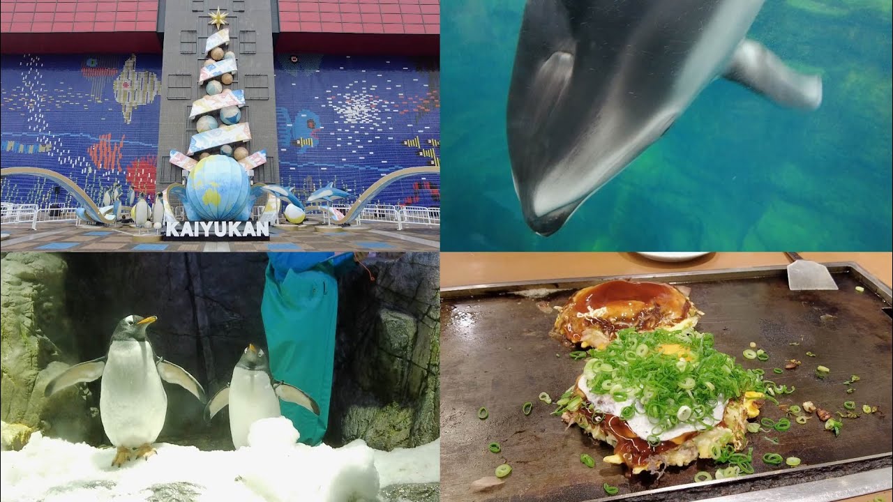 #001｜One of Japan’s most impressive aquariums [Kaiyukan] (Osaka)