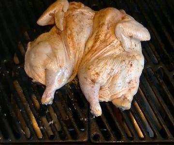 El mas rico pollo a la parrilla.