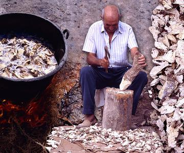 JABÓN CON RAÍCES. Uso tradicional de la raíz hervida de la albata para lavar la ropa | Documental