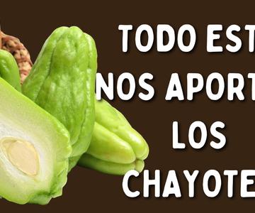 Todos Los Beneficios Del Chayote, Cidra Papa, Zapallo Japones, Tayota, Papa Del Aire O Papa De Pobre