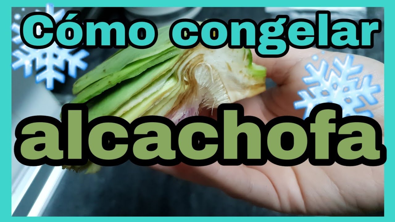 Cómo CONGELAR ALCACHOFA | Congelar verduras en casa ❄